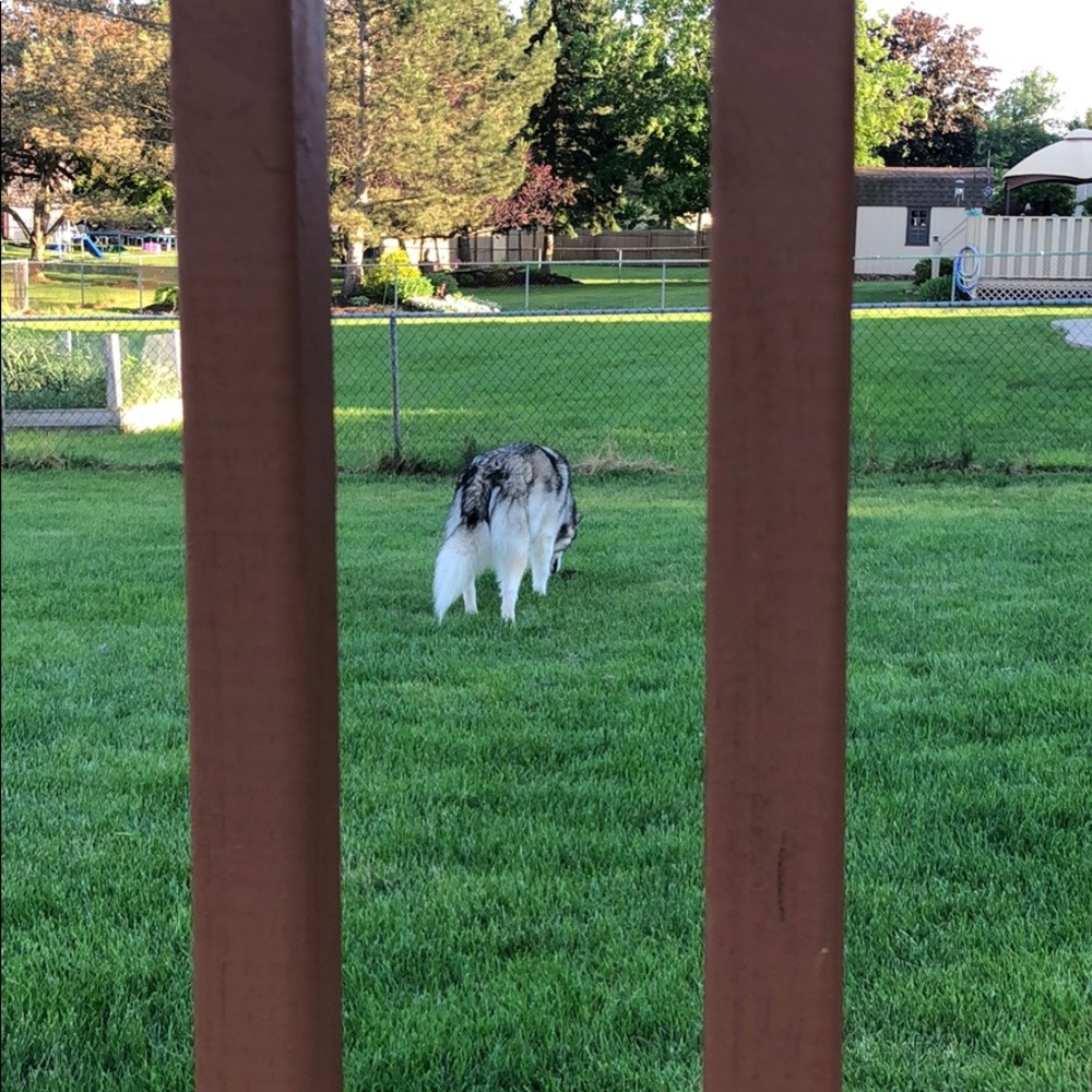 Meet your Posher, Ming